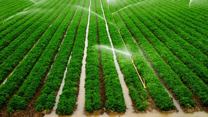 Irrigation Systems